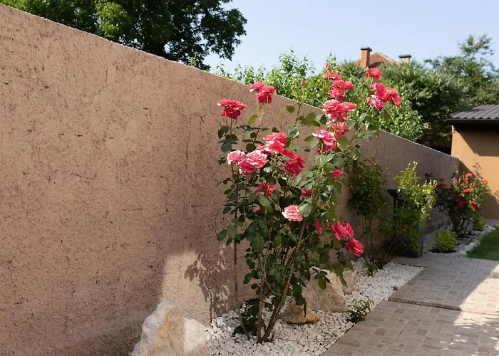 Igman Διαμέρισμα *